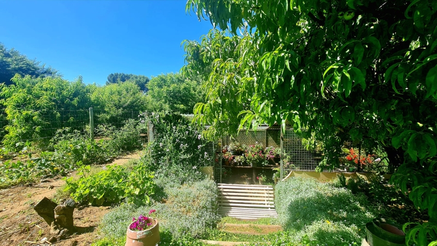 Commercial Property for Sale in Bainsvlei Free State